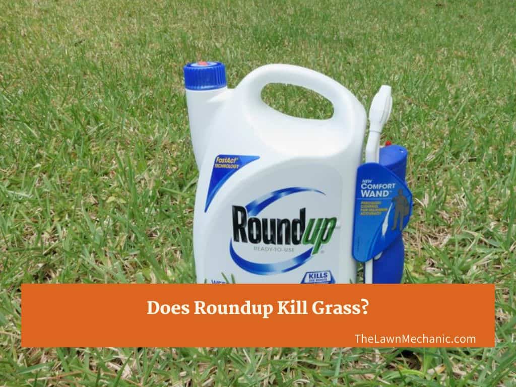 Does Roundup Kill Grass?