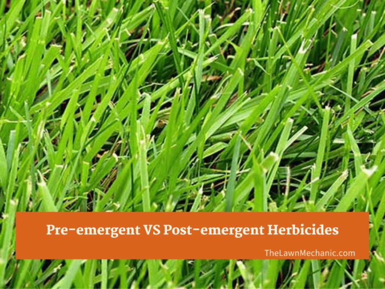 Preemergent VS Postemergent Herbicides